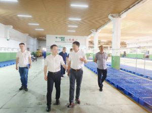 番禺区政府领导莅临青麦源指导工作